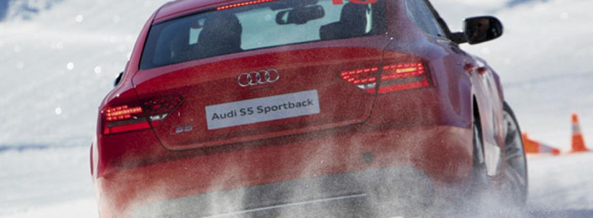 Audi-skid-light.jpg