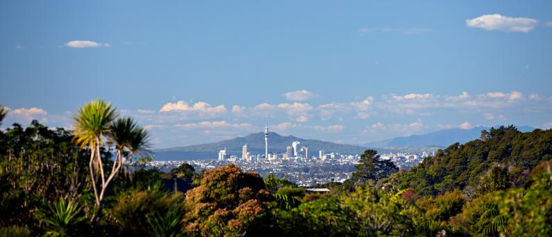 City view from West Auckland