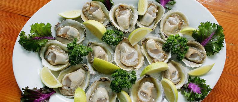 Bluff oysters