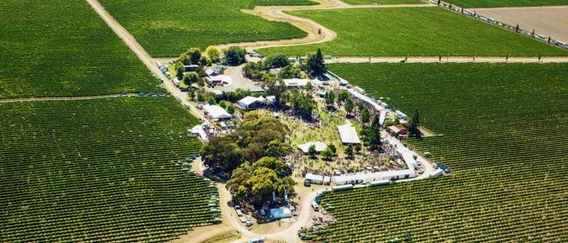 Marlborough Wine Festival aerial