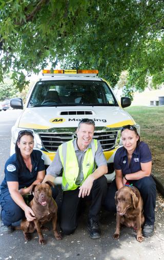 Two SPCA employees and one NZAA roadservice employee posing with two brown dogs