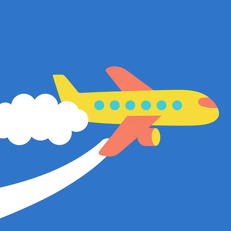 How do planes stay up?