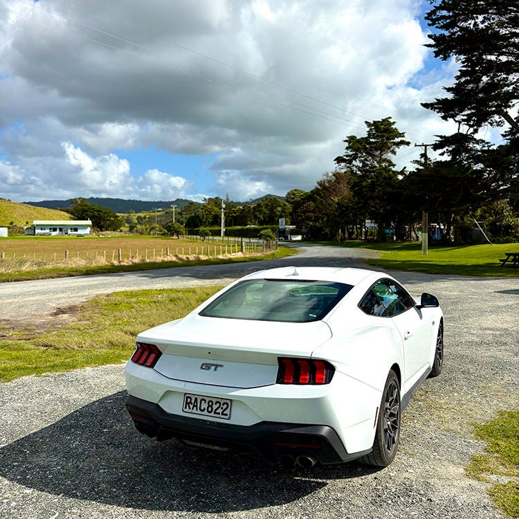 Mustang image