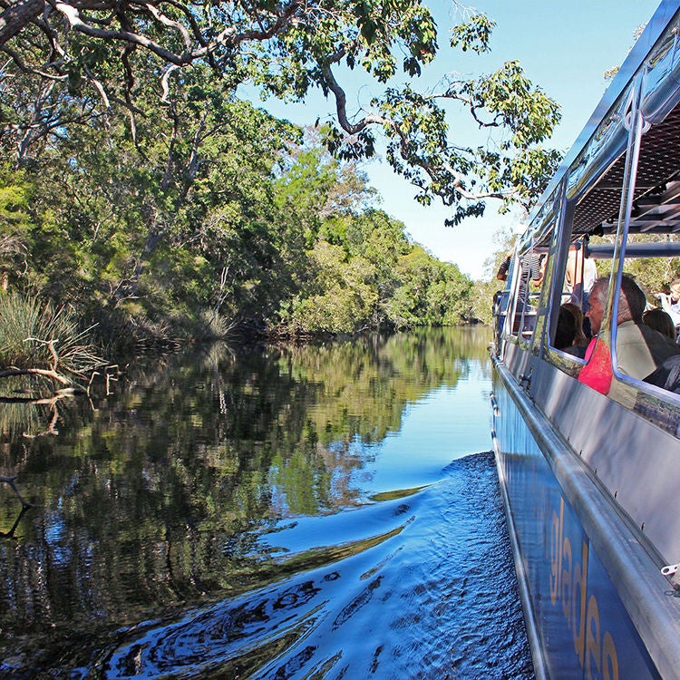 Cruising the Noosa Everglades.