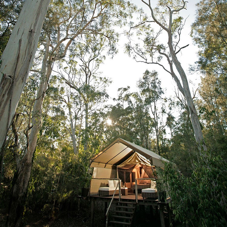 Glamping at Paperback Camp.