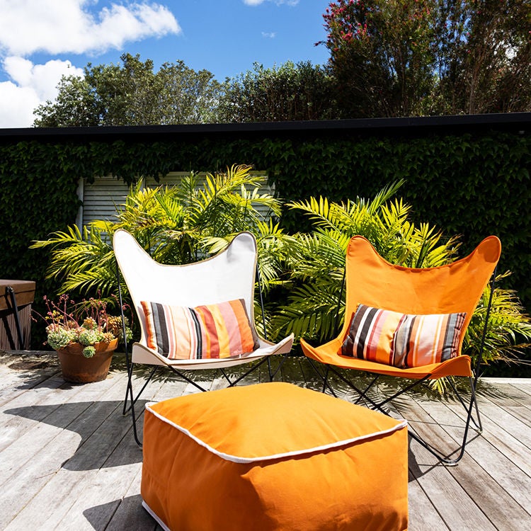 Two butterfly chairs