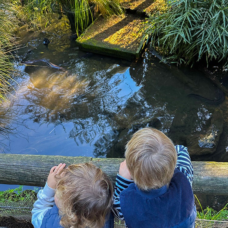 Eel-spotting in Ōtorohonga. Photo by Monica Tischler.