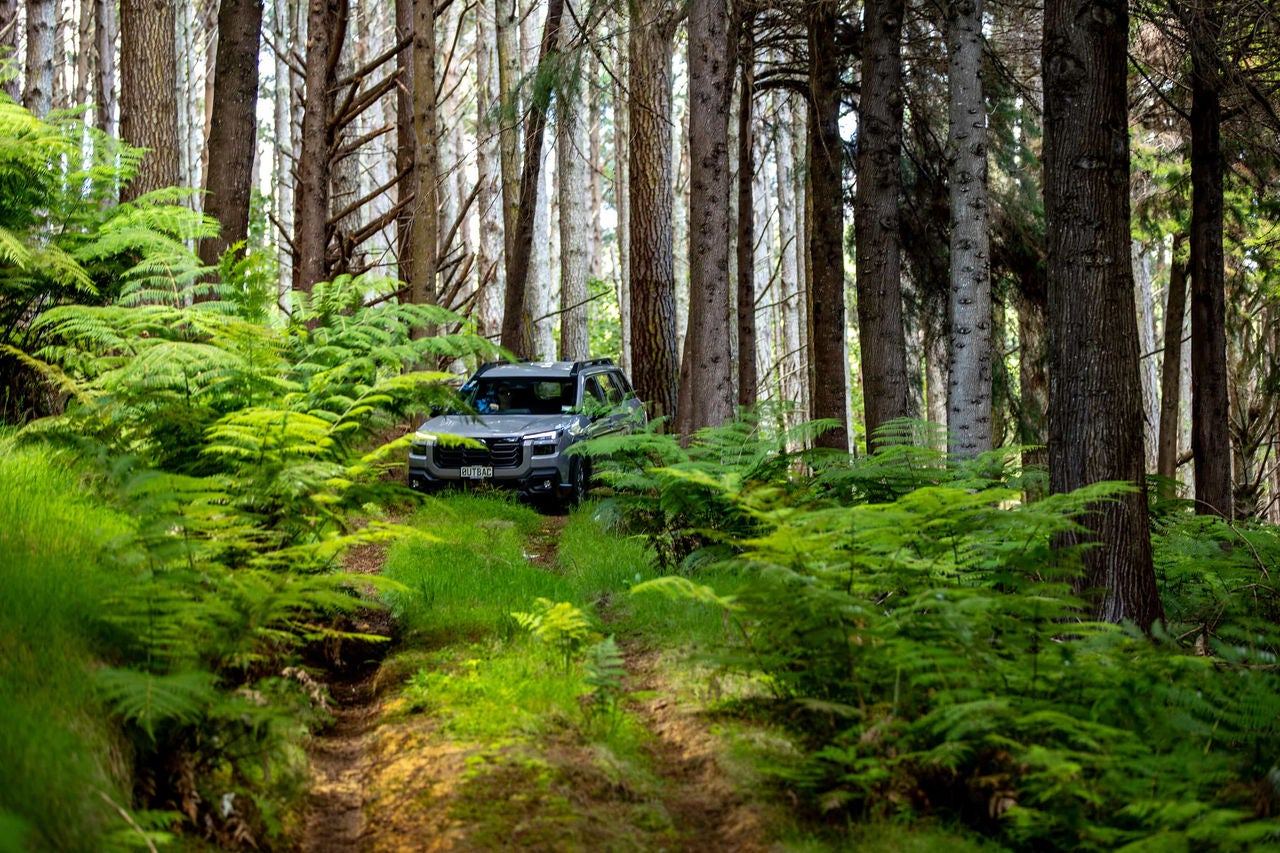Subaru Outback driving around the forest track