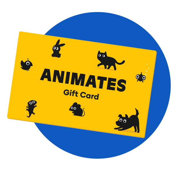 Limited time offer bubble icon