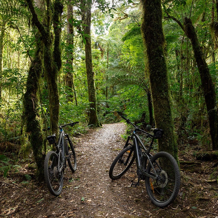 e-bikes on the Timber Trail.