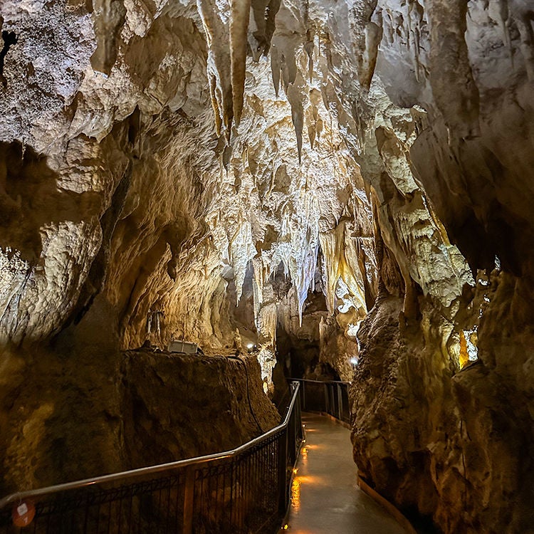 Waitomo Caves. Photo by Monica Tischler.