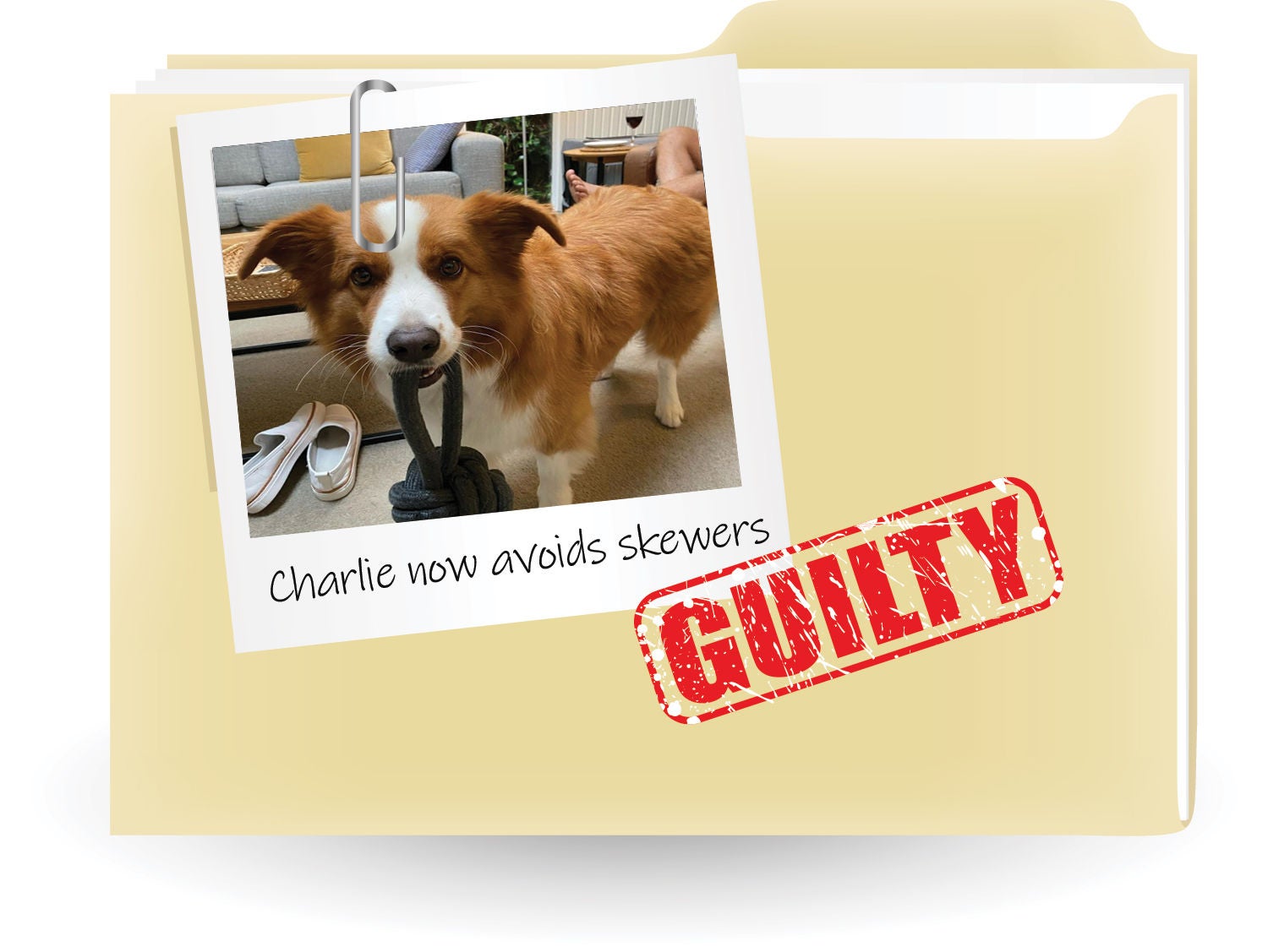 A beige folder with a polaroid style photo of Charlie and a red guilty stamp