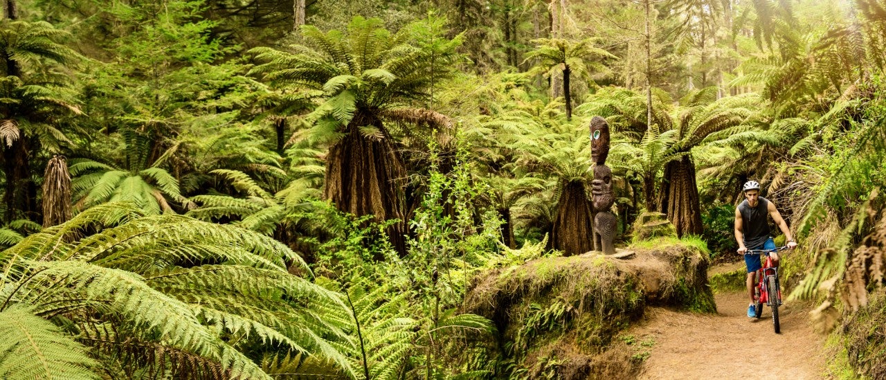 Rotorua Cycle Trails