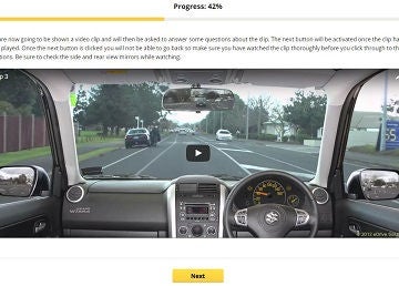 Preview screenshot for the Online Driver Risk Assessment