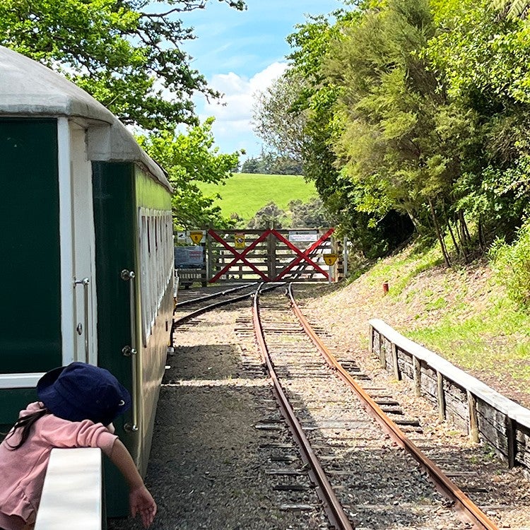 On board the vintage train in Kawakawa.