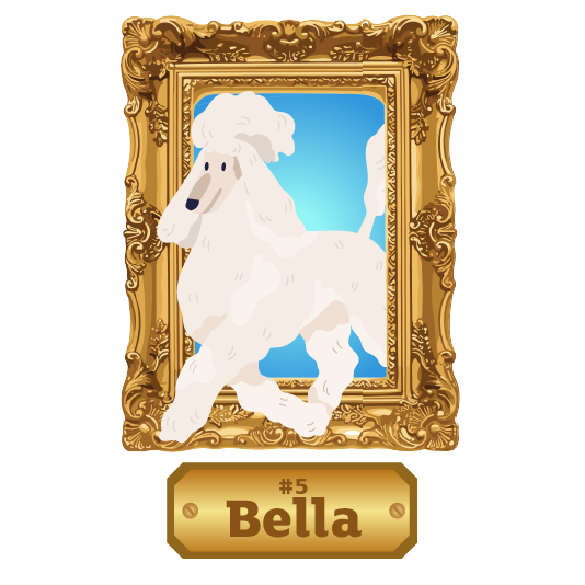 Illustration of a white poodle-like dog standing inside an ornate gold picture frame against a blue background. Below the frame is a gold nameplate displaying the text “#5 Bella.” The dog has a fluffy coat, long ears, and a raised tail, and is shown in a side-facing pose with one front paw lifted.
