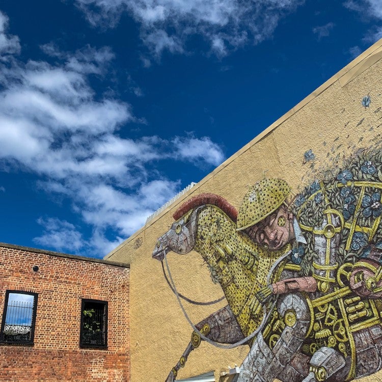Dunedin City has some incredible street art. 