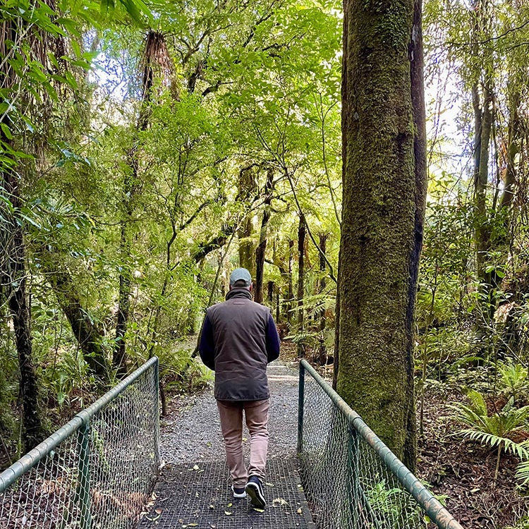 Exploring the native bush at Pūkaha National Wildlife Centre. Photo by Jo Percival.