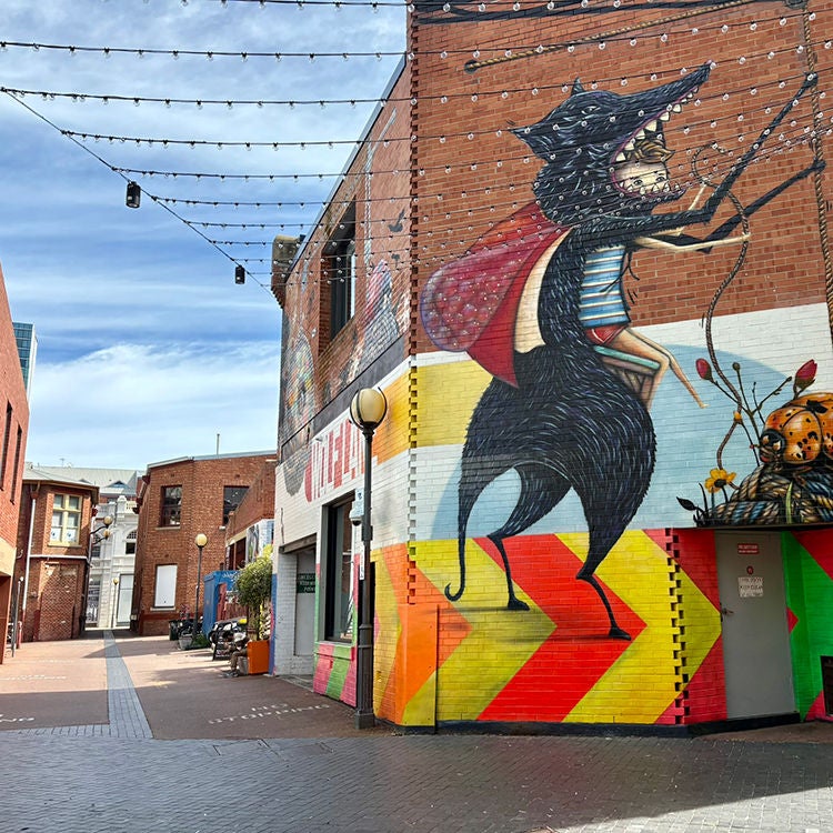 Vibrant street art in Wolf Lane. Photo by Jo Percival.