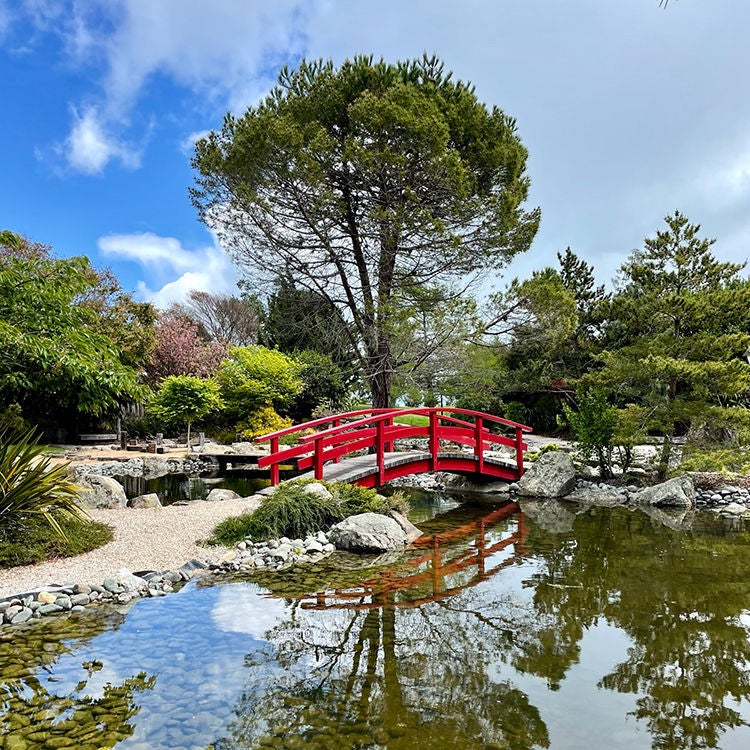  Miyazu Gardens in Nelson. Photo by Jo Percival.