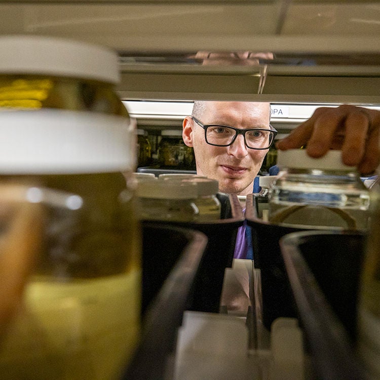 Thom Linley's research involves some of the deepest living sea creatures. Photo by Nicola Edmonds.