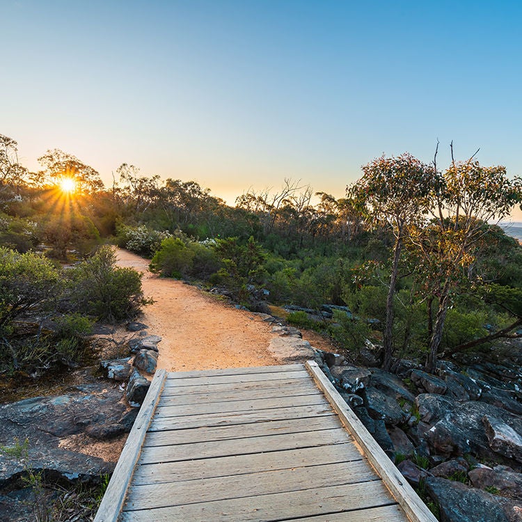 The track to Halls Gap.
