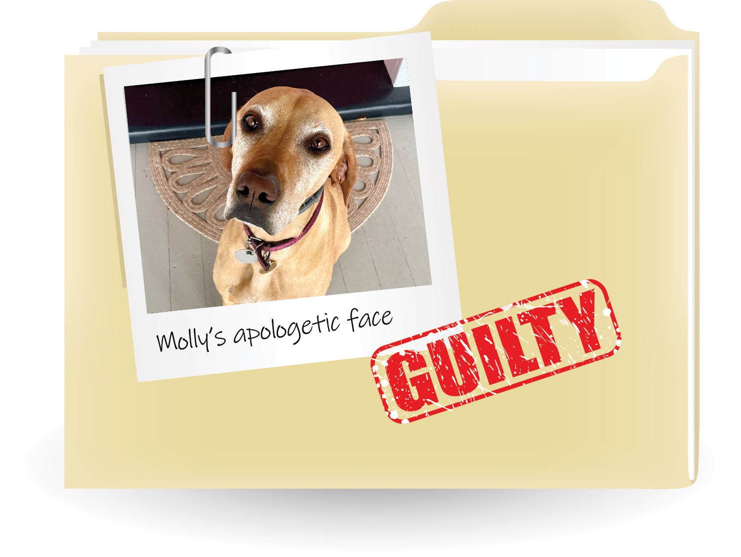 A beige folder with a polaroid style photo of Molly and a red guilty stamp