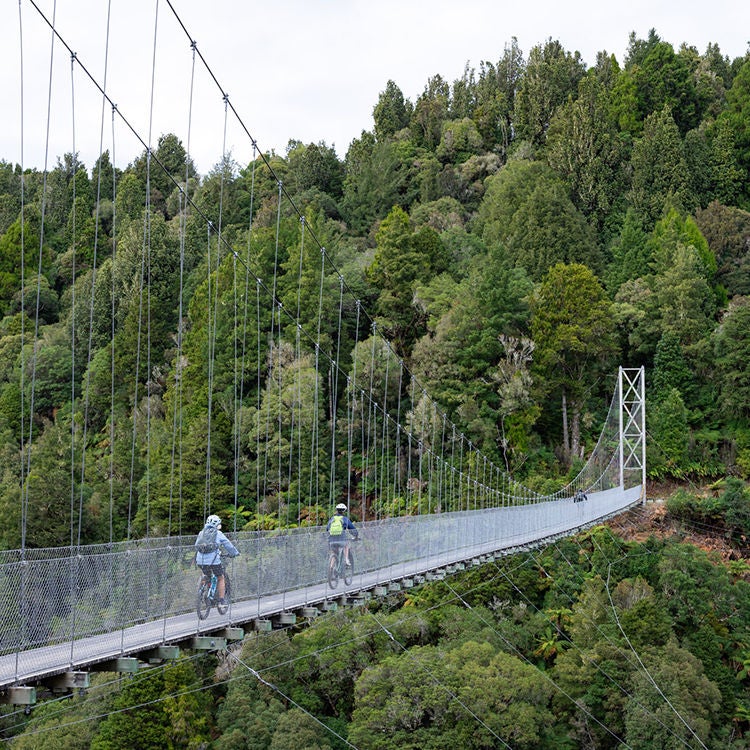 One of the many incredible suspension bridges on the Timber Trail.