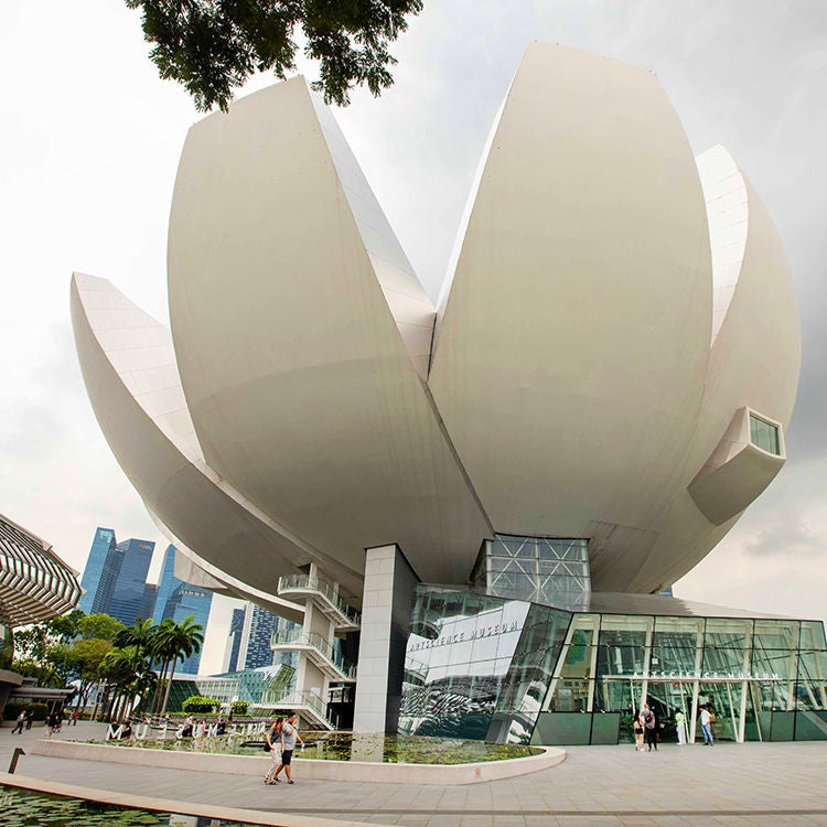 The lotus-shaped Art Science Museum in Singapore. Photo by Tim Cuff.