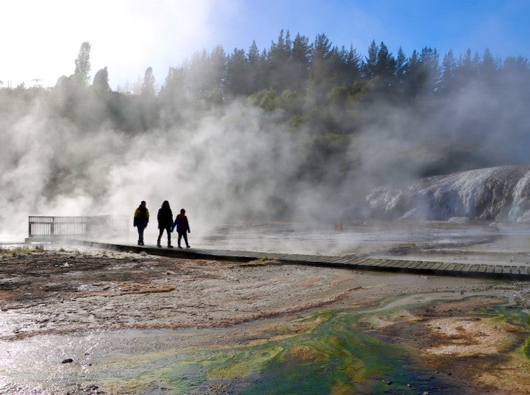 Orakei Korako boardwalk