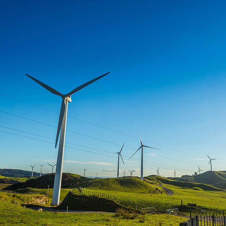 New Zealand is blessed with abundant renewable electricity. 