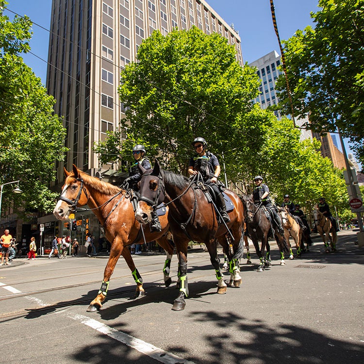Mounted police patrol the streets of Melbourne. Photo by Tim Cuff.