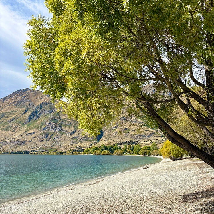 Glendhu Bay, Wānaka. Photo by Jo Percival.