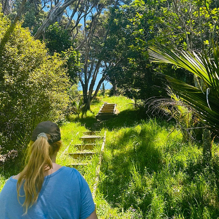 Rotoroa Island has a network of easy walking tracks to explore. Photo by Emily Draper.