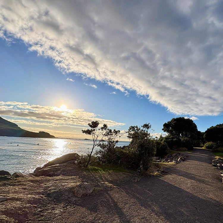 Moturiki Island. Photo by Jo Percival.