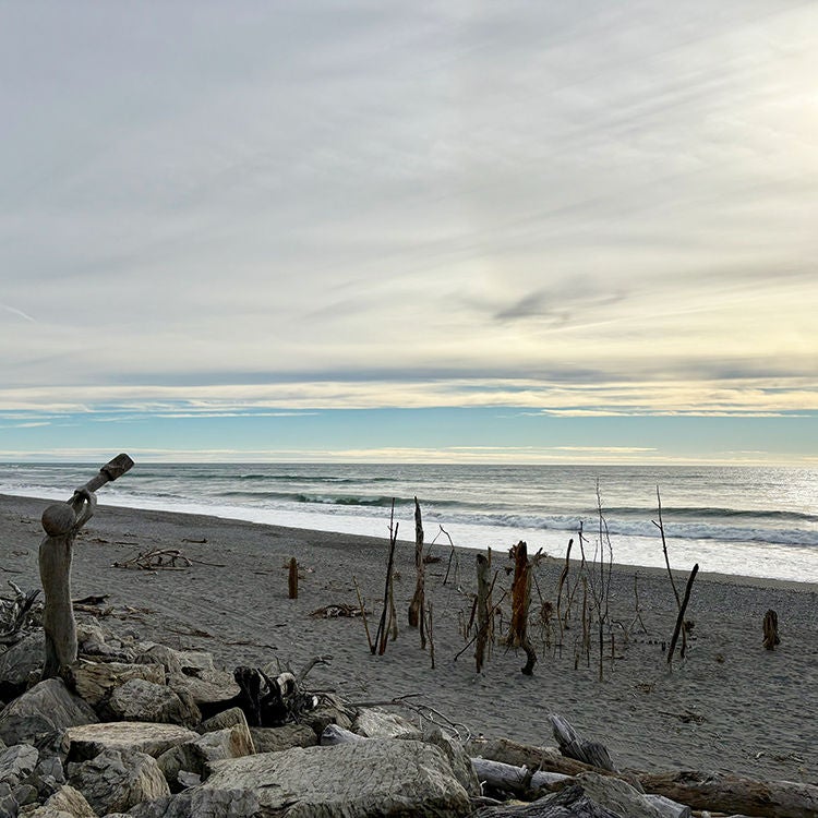 Driftwood sculptures in Hokitika. 