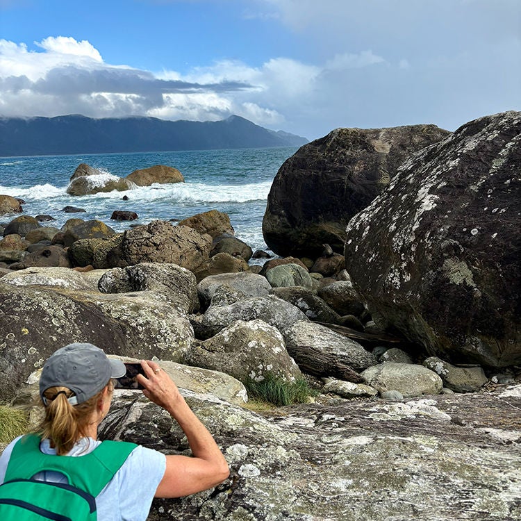 Finding kekeno New Zealand fur seals in their natural habitat. Photo by Jo Percival.