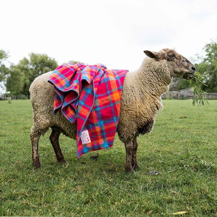 Fresh Retro Love blankets are made with New Zealand lambswool.
