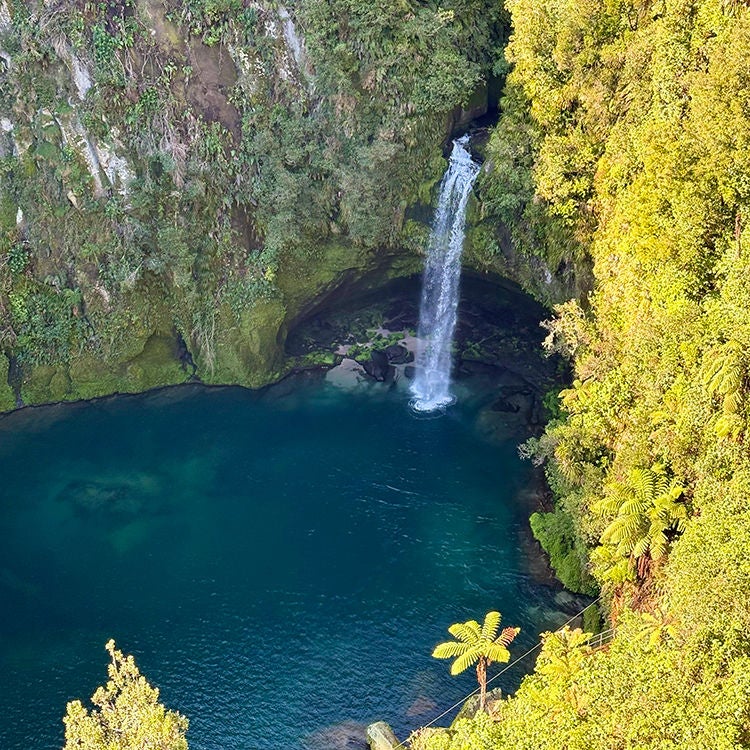 Omanawa Falls near Tauranga. Photo by Jo Percival.