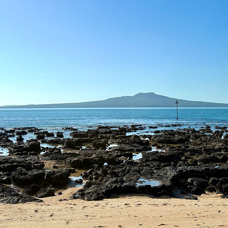 A bluebird day in Takapuna.