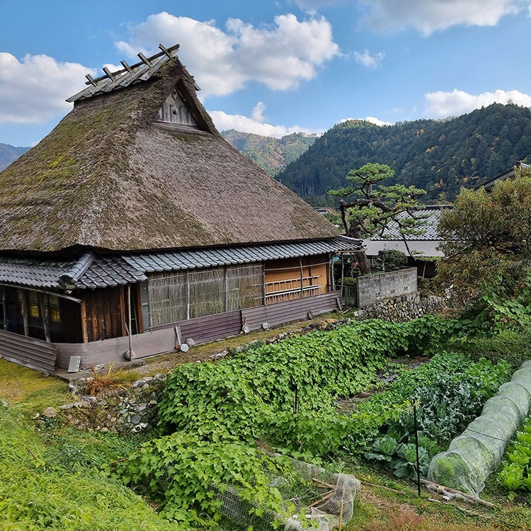 A traditional thatched house in Kayabuki no Sato. Photo by Alexia Santamaria.