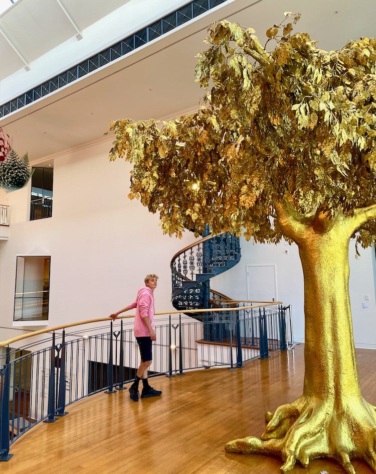 Dunedin Art Gallery