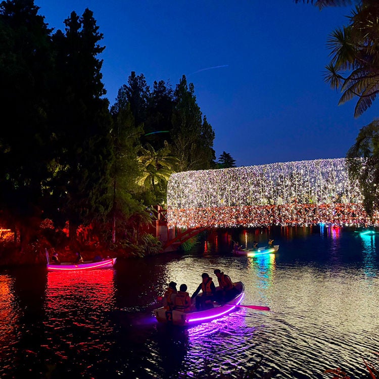Festival of Lights.