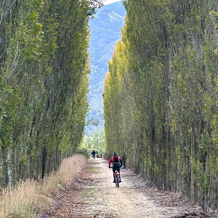 Scenic riding on the Alps 2 Ocean cycle trail. Photo by Kathryn Webster.