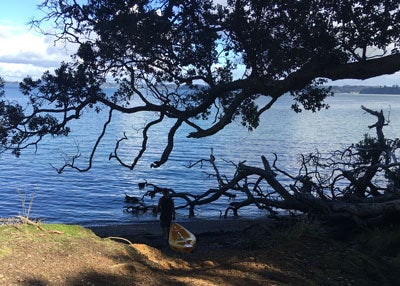 kawau inp