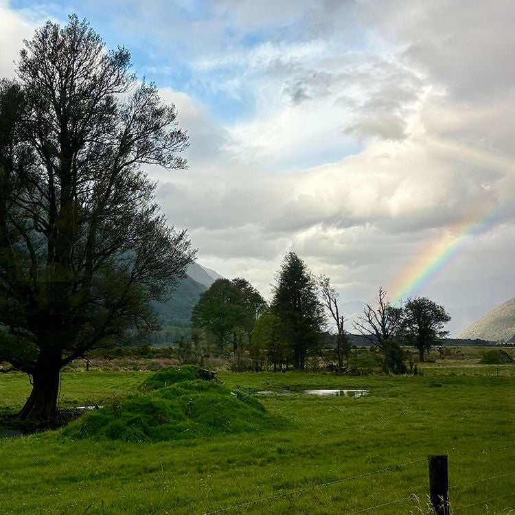 A misty rainbow near Inchbonnie. Photo by Jo Percival.