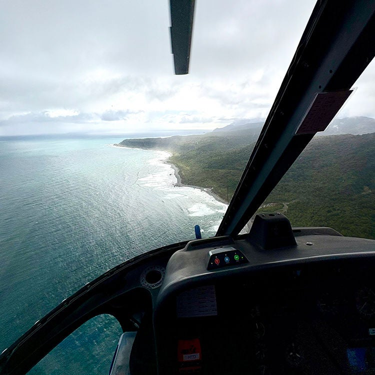 Flying up the Fiordland coast. Photo by Jo Percival.