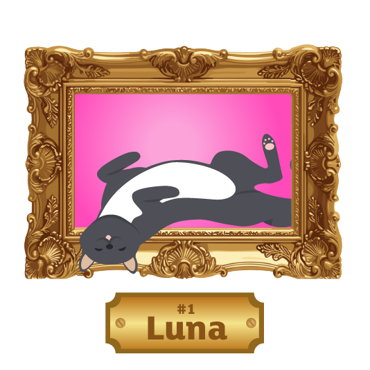 Illustration of a black-and-white cat lying upside down inside an ornate rectangular gold picture frame against a bright pink background. The cat’s body stretches across most of the frame, with one paw raised and its head resting near the lower edge. Pink paw pads and a pink nose are visible. Beneath the portrait is a decorative gold nameplate displaying the text “#1 Luna.”
