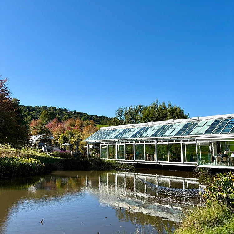 The restaurant at Brick Bay almost seems to float on the lake.