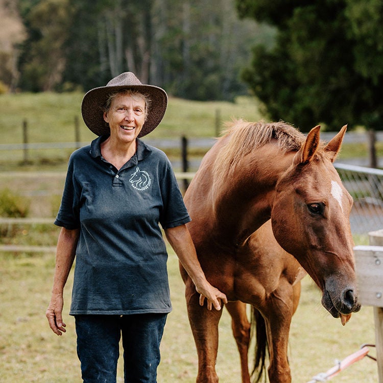 Working with horses has been a life changing career for Sue Court. Photo by Ruth Gilmore.
